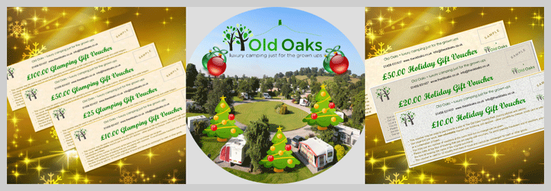 holiday and glamping vouchers at Old Oaks Somerset